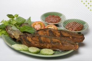 resep pecel lele