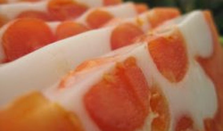 Resep Puding Pepaya - 2019 - Resep Masakan Kue Minuman Terbaru